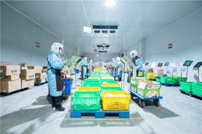 淳百味:傳承與創新并舉,邁入沙縣小吃新征程